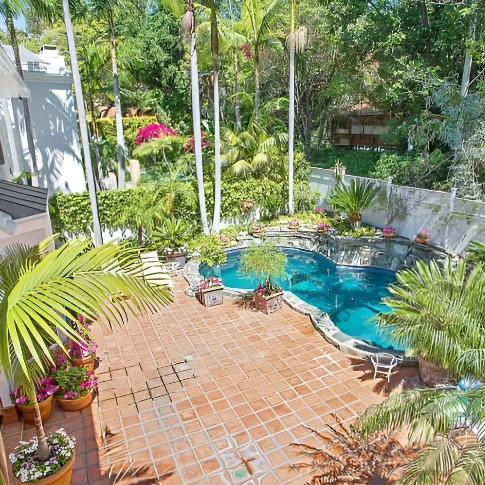 Garden courtyard with a pool and palm trees at Safe Haven Recovery