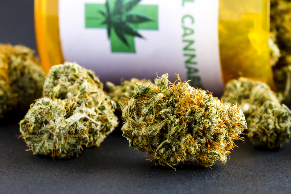 Medical marijuana buds