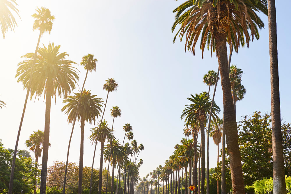 drug rehab in beverly hills, los angeles, california