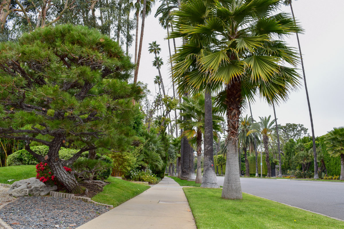 Drug Rehab Program in Los Angeles, CA